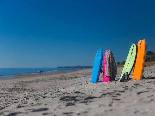 quatro pranchas de surf saindo da areia numa praia em Pacific Park Christian Holiday Camp em Papamoa