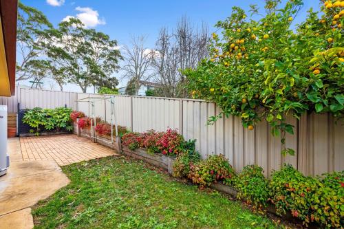 a fence with a garden of flowers and an orange tree at Maggie's Place in Mount Gambier