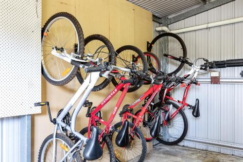 a group of bikes hanging on a wall at Maggie's Place in Mount Gambier