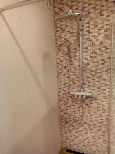 a shower in a bathroom with a brick wall at Harz meets friends in Hasselfelde