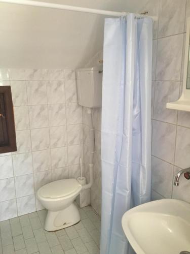 uma casa de banho com um WC e um lavatório em Apartman Novica em Herceg Novi