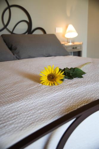 a yellow flower sitting on top of a bed at Villa Angela Country House in Fermo