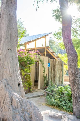 Sitatunga Campsite Maunにある庭