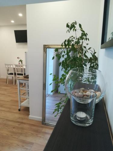 Lili Apartment in Zadar pet friendly, free parking