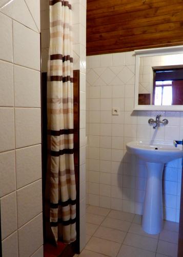 a bathroom with a sink and a shower curtain at Ubytování Medlov in Moravská Nová Ves