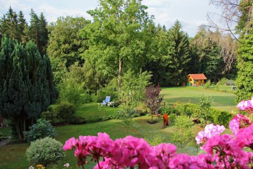 Zahrada ubytování Ferienwohnung Sonnenhang