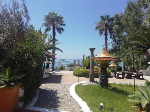a walkway with palm trees and a fountain at Residenza Villa Spagnola in Parghelia