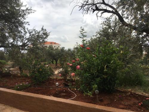 einen Garten mit Rosen und Bäumen mit einem Zaun in der Unterkunft Koura Nahla Apartment in An Nakhlah