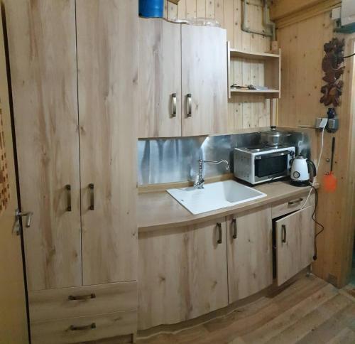 Dapur atau dapur kecil di PANORAMA RANČ