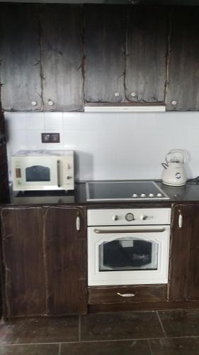 a kitchen with a white oven and a microwave at PANORAMA RANČ in Ježíci