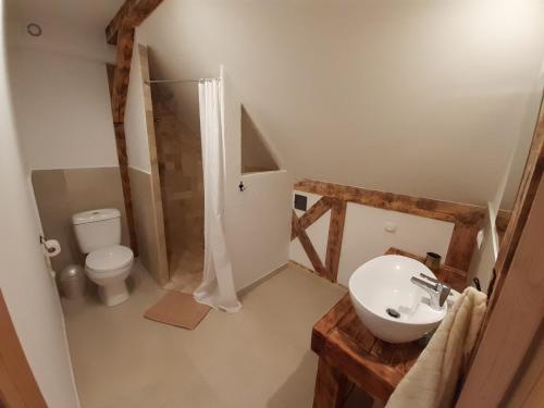 a bathroom with a shower and a sink and a toilet at Mazurska Chata Pod Klonowym Liściem in Szczytno