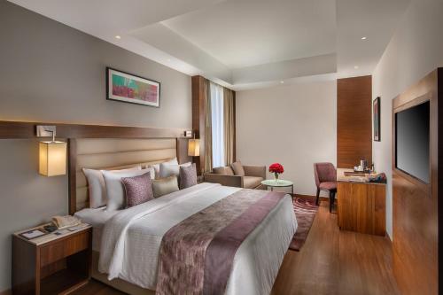 Habitación de hotel con cama grande y TV en Nirvana Sarovar Portico Gorakhpur, en Gorakhpur