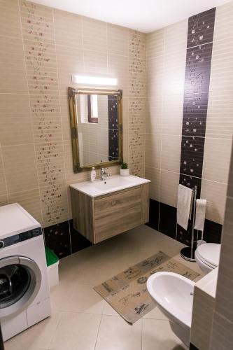 a bathroom with a sink and a washing machine at Vila Rodica Transalpina in Şugag