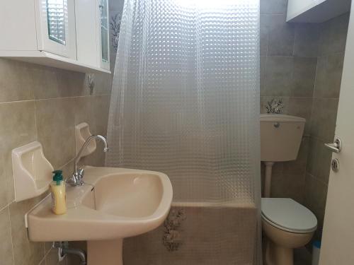 a bathroom with a sink and a toilet and a shower at Gkionis Apartment in Kalamata