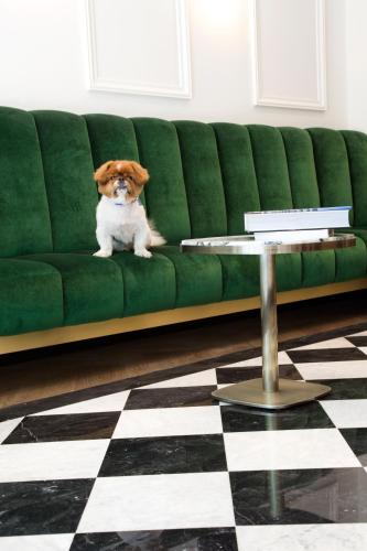 a dog sitting on a green couch with a hat on its head at Hôtel Léna in Paris