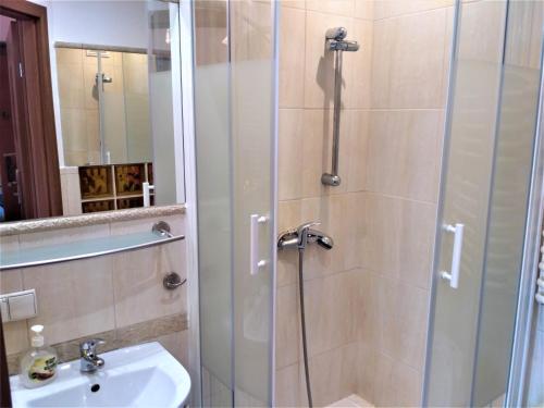 y baño con ducha y lavamanos. en Akt Studio Apartment City Centre, en Cracovia