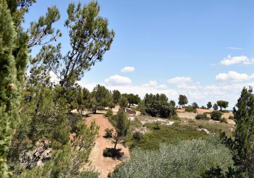 a view of a field with trees and bushes at Les Garrigues de la Vallée des Baux in Paradou