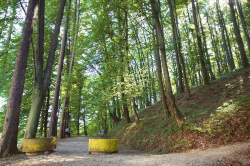 a path in a wooded area with two yellow benches at Apartman Nikolic,Banja Vrucica,Teslic in Teslić
