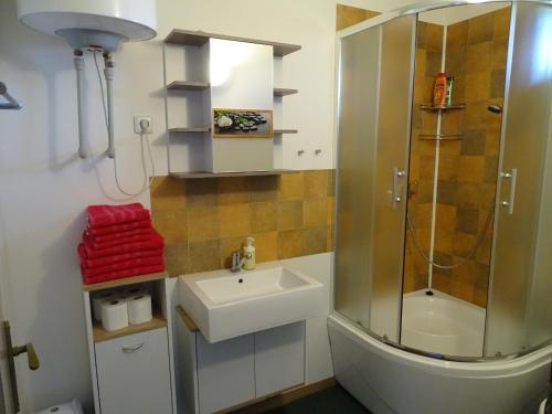 uma casa de banho com um lavatório e um chuveiro em Penzion Pod Vápenkami em Strážnice
