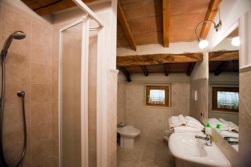 a bathroom with a shower and a sink and a toilet at Agriturismo Podere Olivello in Val d'Orcia in Montalcino