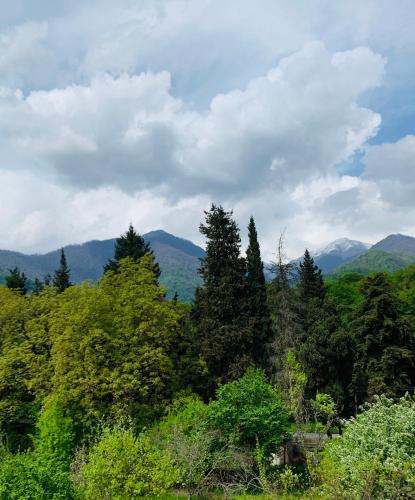 a view of a forest with mountains in the background at Royal Palace Hotel, Lagodekhi in Lagodekhi