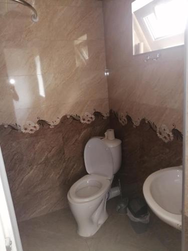 a bathroom with a toilet and a sink at Jeiran Japaridze's Guesthouse in Mestia