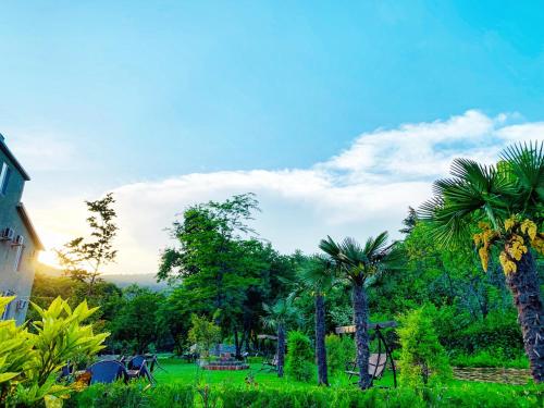 a group of palm trees in a park at Royal Palace Hotel, Lagodekhi in Lagodekhi