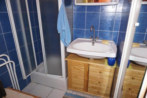 a small bathroom with a sink and a shower at Les balcons de la Medtirrannée front de mer in Narbonne-Plage