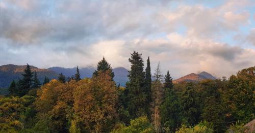 a forest of trees with mountains in the background at Royal Palace Hotel, Lagodekhi in Lagodekhi