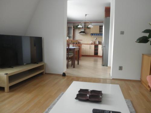 ein Wohnzimmer mit einem Flachbild-TV und einem Sofa in der Unterkunft PENZION VLASTA in Zlín