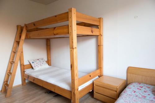 a bunk bed in a room with a ladder at House in the Westfjords in Súðavík