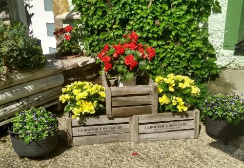 a group of flowers in a wooden box at Gasthof Zum Lugauer in Radmer an der Hasel