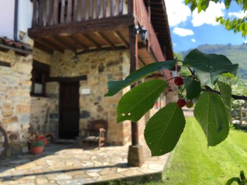 a tree with green leaves in front of a building at La Xamoca Apartamentos Rurales in Campiellos