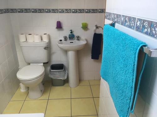 a bathroom with a toilet and a sink at The Skellig Lodge & Hostel in Ballinskelligs