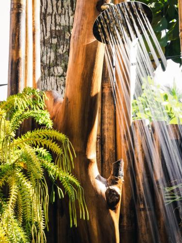 a water fountain in a garden with plants at Lagoona Beach Bungalows - Eco Bungalows Batukaras in Batukaras