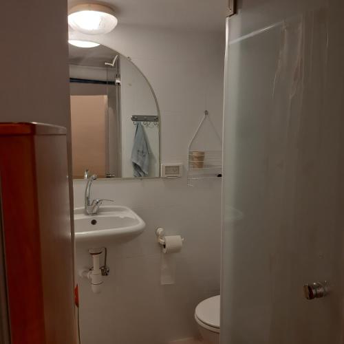 een badkamer met een wastafel, een toilet en een spiegel bij Wild Rose in Jeruzalem