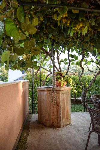 House Toni 1102 – Photos 5
