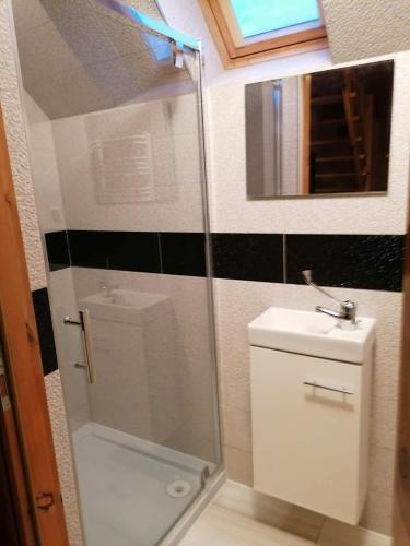 a bathroom with a shower and a sink at Apartamenty Pokoje w Bieszczadach Solina polańczyk in Polańczyk
