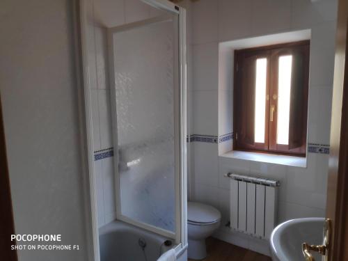 uma casa de banho com um chuveiro, um WC e um lavatório. em Casa Valentina em Villar de Otero
