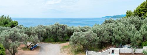 a dirt road with trees and the ocean in the background at Adria lux apartmens 2 in Sveti Stefan