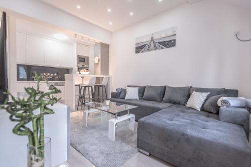 ein Wohnzimmer mit einem grauen Sofa und einer Küche in der Unterkunft Apartman Danica No.2 in Banja Koviljača