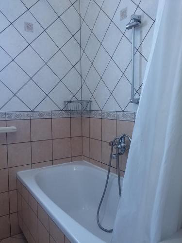 Kúpeľňa v ubytovaní Apartments Katarina