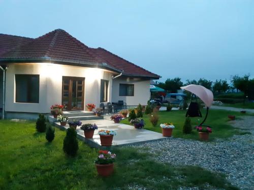 Κήπος έξω από το Casa Alin