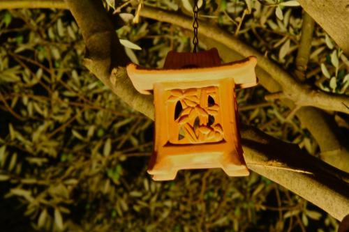 a small orange bird house hanging from a tree at L'Araucaria turismo rurale in Santa Croce Camerina