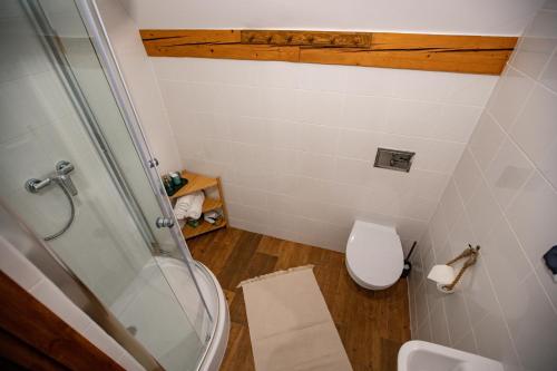 a small bathroom with a shower and a toilet at Chata Pod Lasem in Poręba