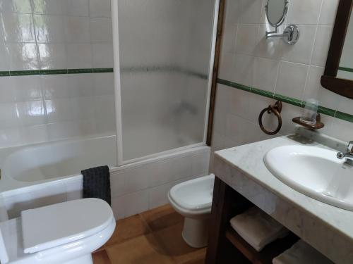 a bathroom with a toilet and a sink and a shower at Hotelet de Betlan in Betlán