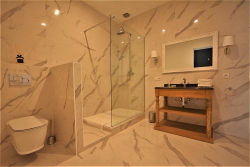 a bathroom with a shower and a toilet and a sink at Villa de Noailles in Spa