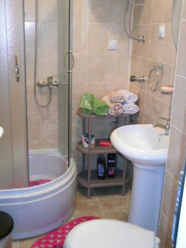 a bathroom with a shower and a toilet and a sink at Sava in Soko Banja