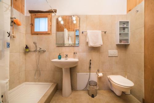 a bathroom with a sink and a toilet and a shower at ARADENA TRADITIONAL House 1 in Arádhaina