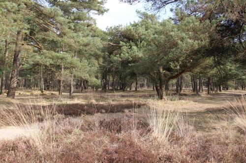 Gallery image of De Wapser Herberg in Wapse